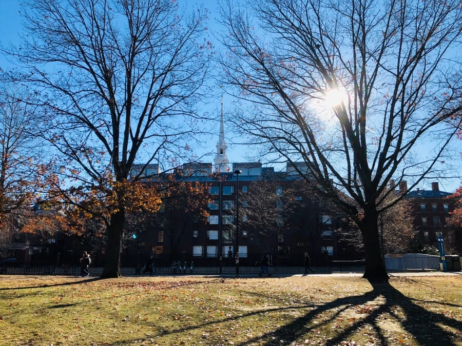 IMG_7965.jpg?type=w966