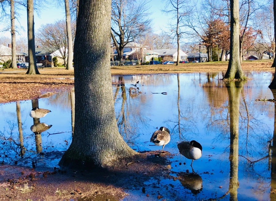 IMG_9789.jpg?type=w966