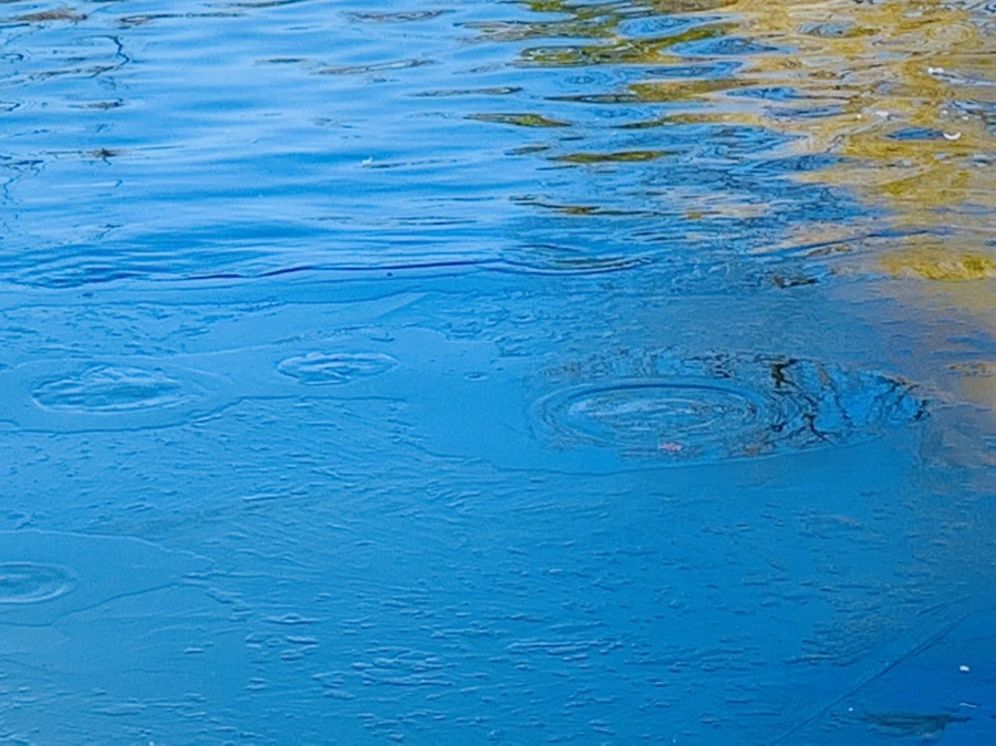 IMG_9067.jpg?type=w966