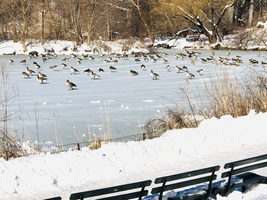 IMG_9873.jpg?type=w966