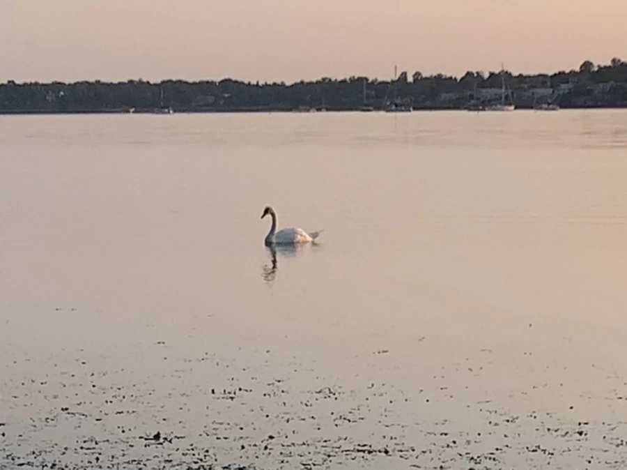 IMG_9623.jpg?type=w966