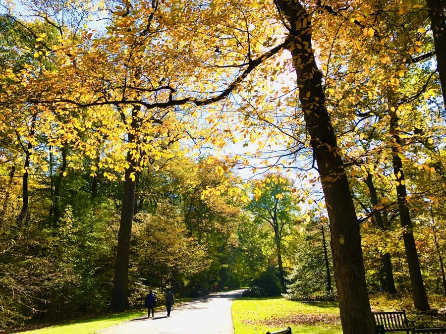 IMG_3318.jpg?type=w966