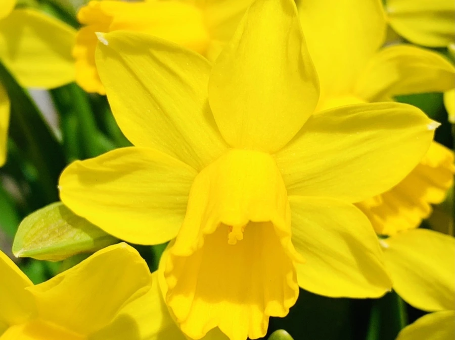 IMG_3395.jpg?type=w966