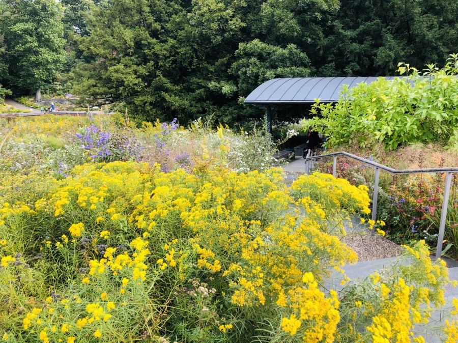 IMG_1599.jpg?type=w966