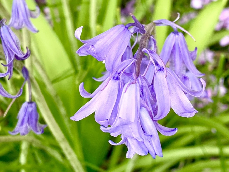 IMG_9602.jpg?type=w966