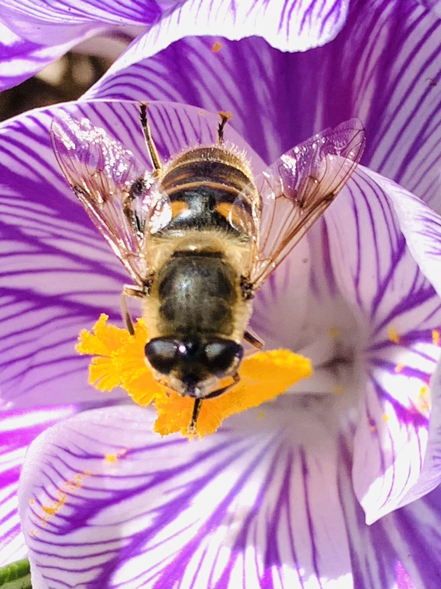 IMG_2898.jpg?type=w966