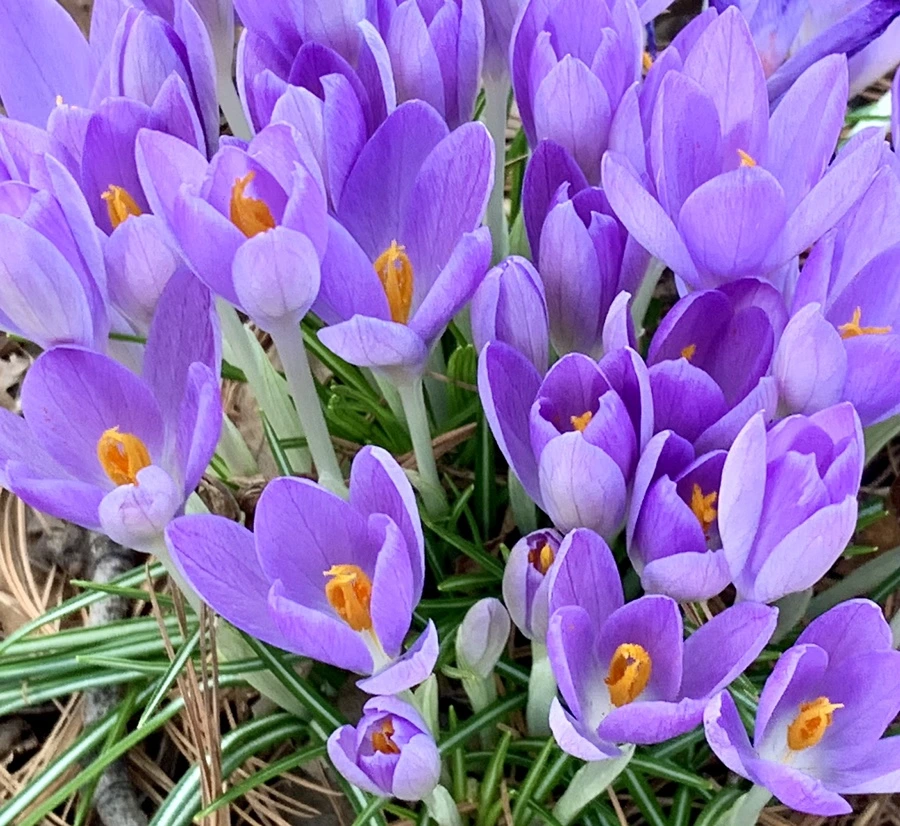 IMG_1265.jpg?type=w966