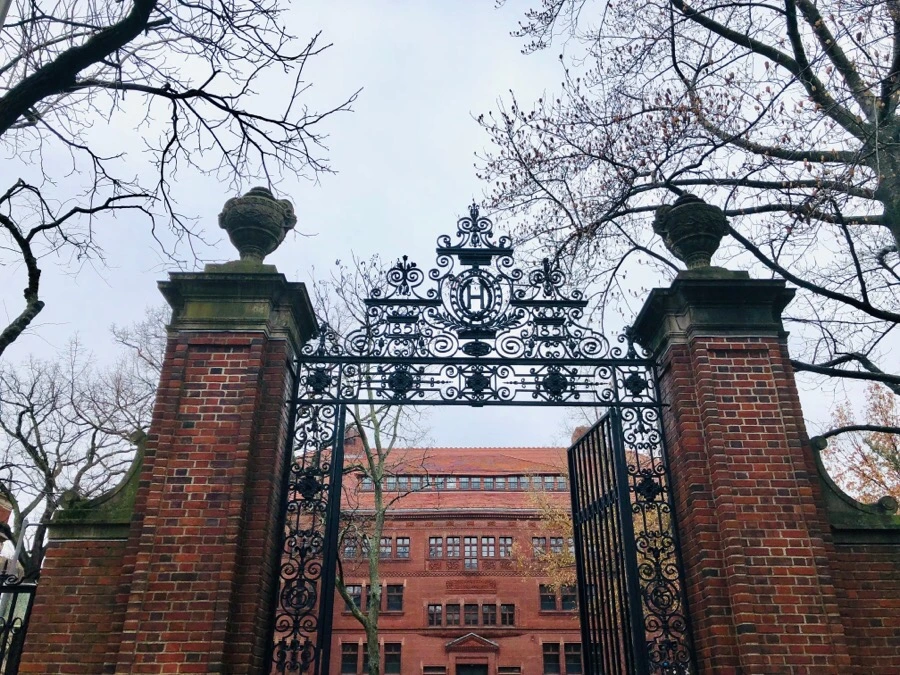 IMG_8084.jpg?type=w966