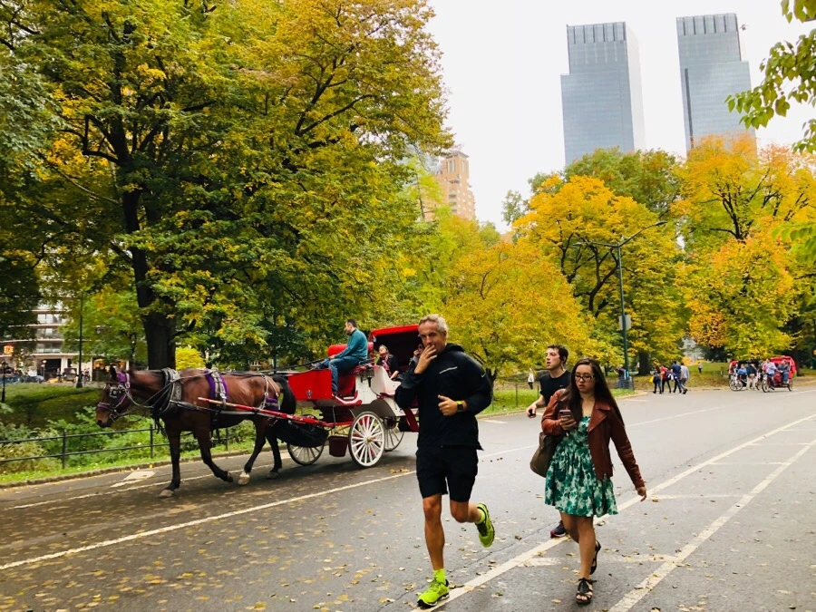 IMG_7262.jpg?type=w966