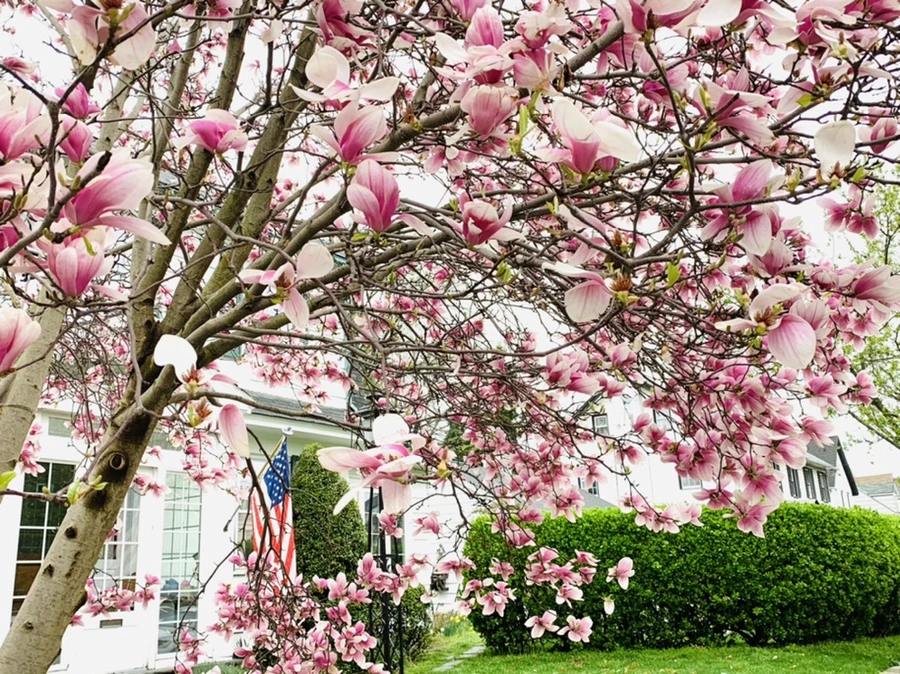 IMG_0958.jpg?type=w966