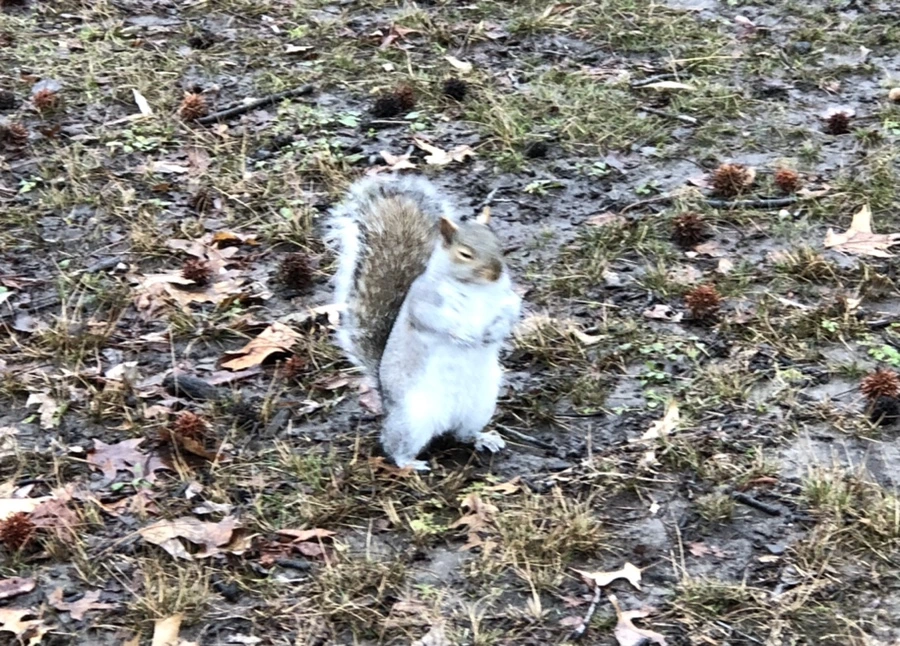 IMG_9516.jpg?type=w966