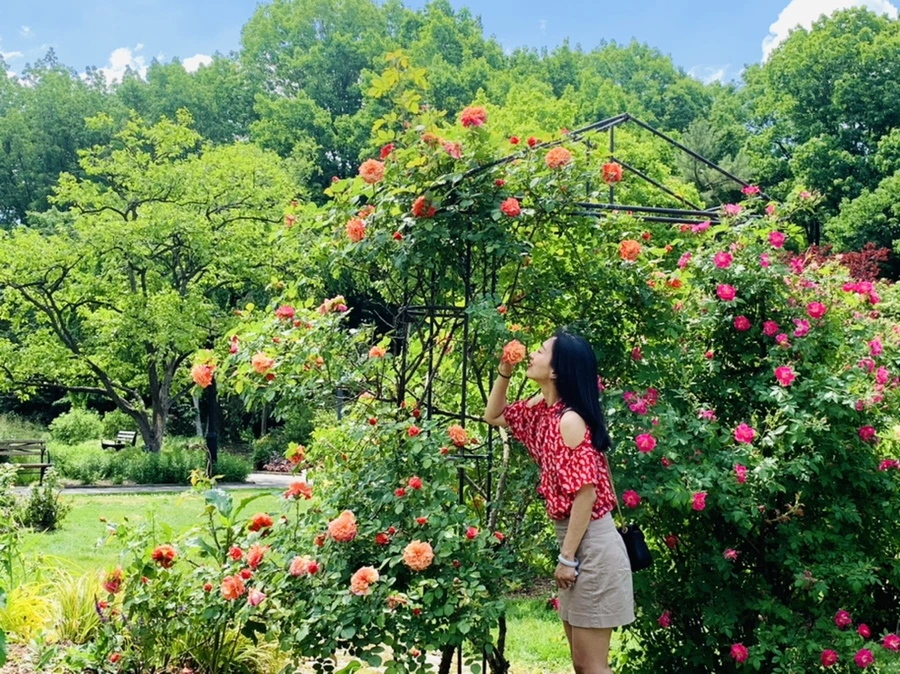 IMG_5790.jpg?type=w966