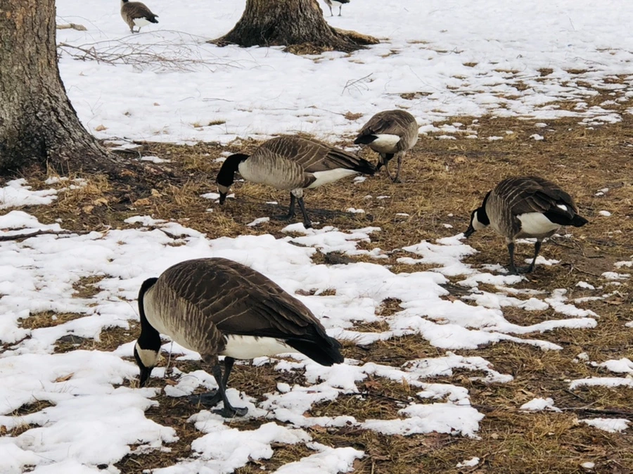 IMG_4361.jpg?type=w966