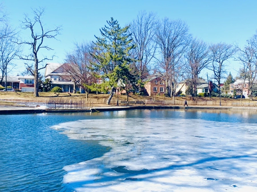 IMG_6602.jpg?type=w966