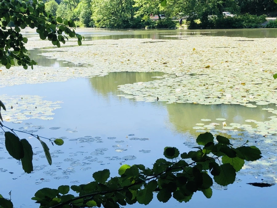 IMG_9738.jpg?type=w966