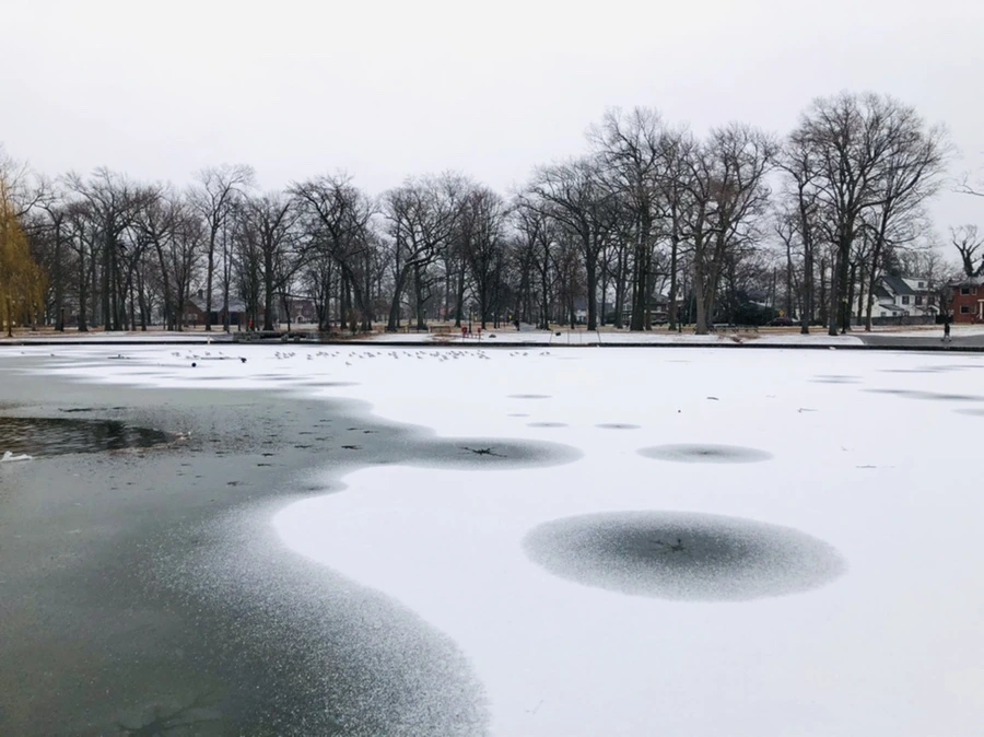 IMG_6108.jpg?type=w966