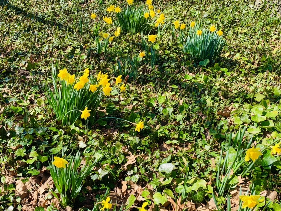 IMG_5818.jpg?type=w966