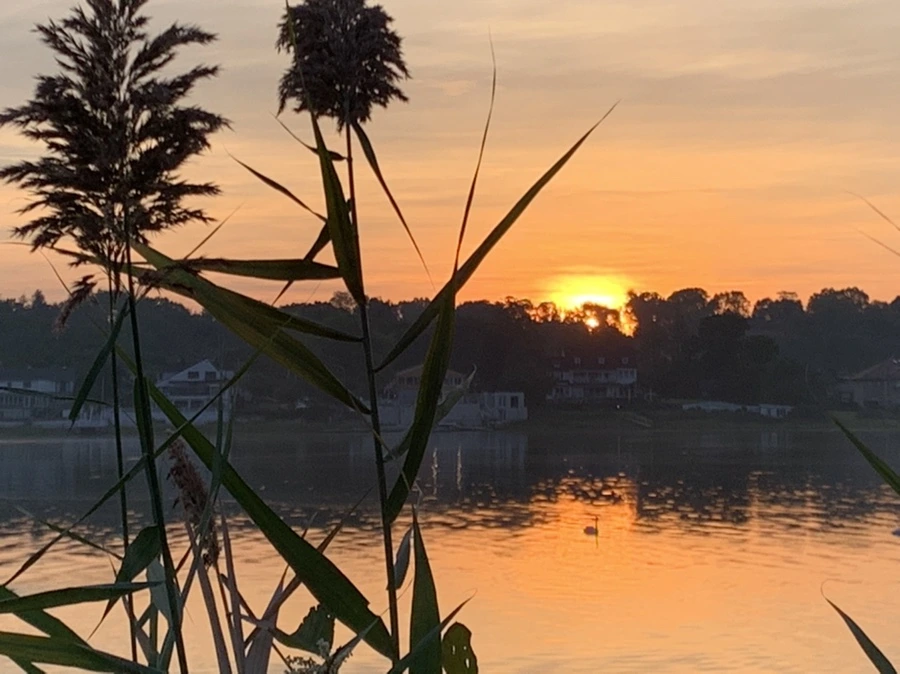 IMG_6829.jpg?type=w966