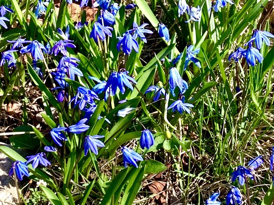 IMG_5517.jpg?type=w966