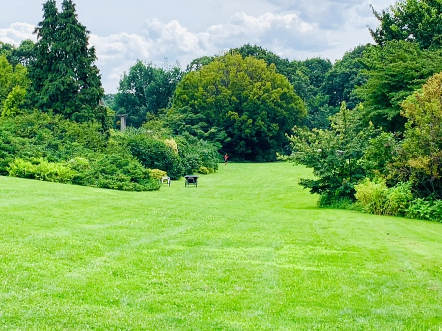 IMG_9309.jpg?type=w966