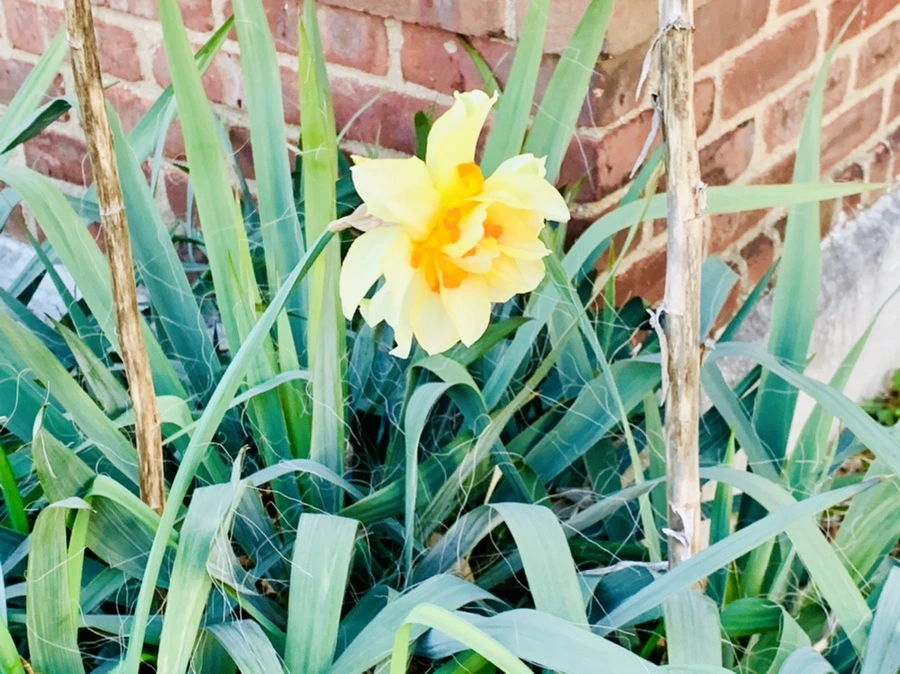 IMG_7422.jpg?type=w966