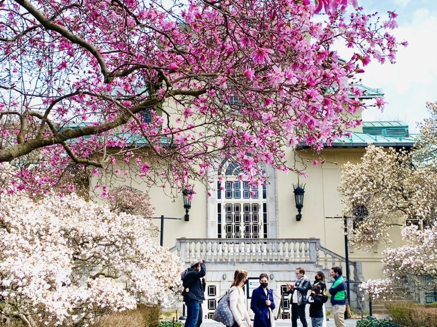 IMG_7238.jpg?type=w966