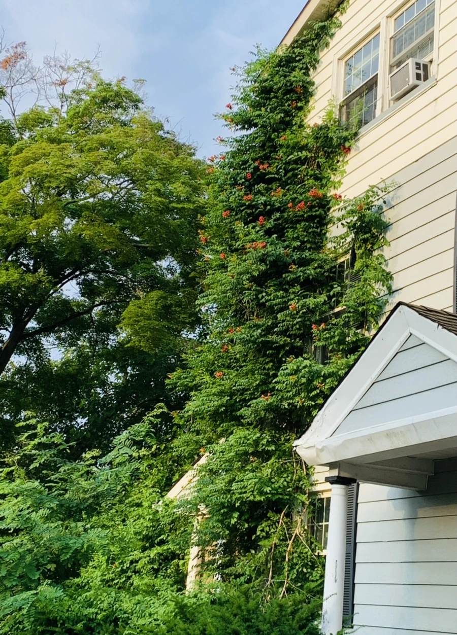 IMG_5014.jpg?type=w966