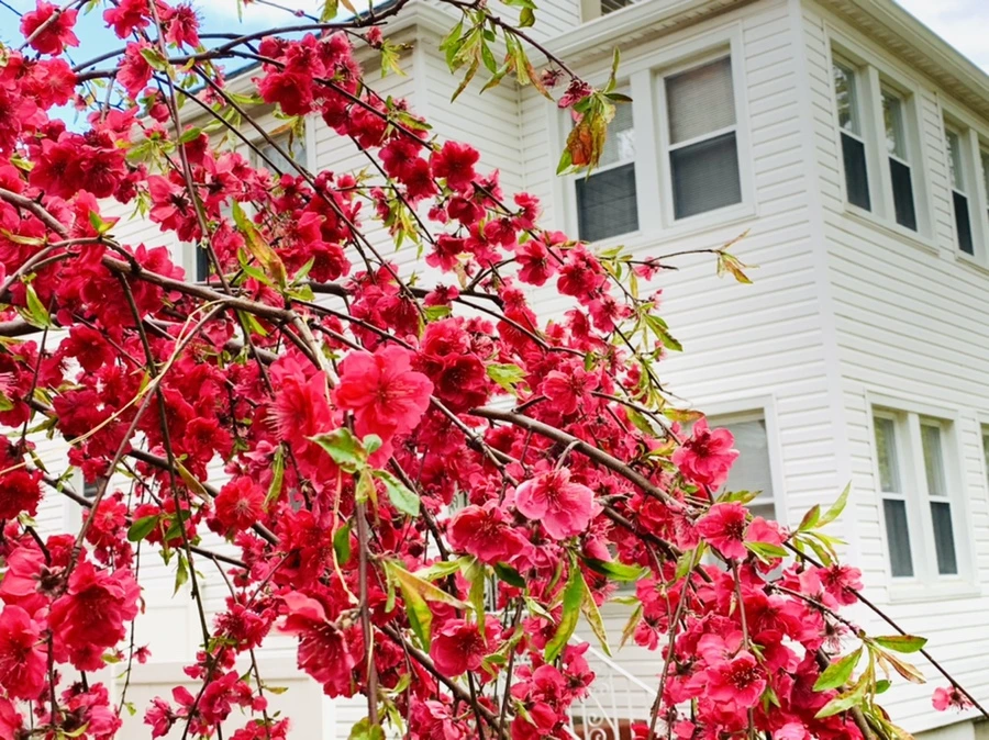 IMG_7853.jpg?type=w966