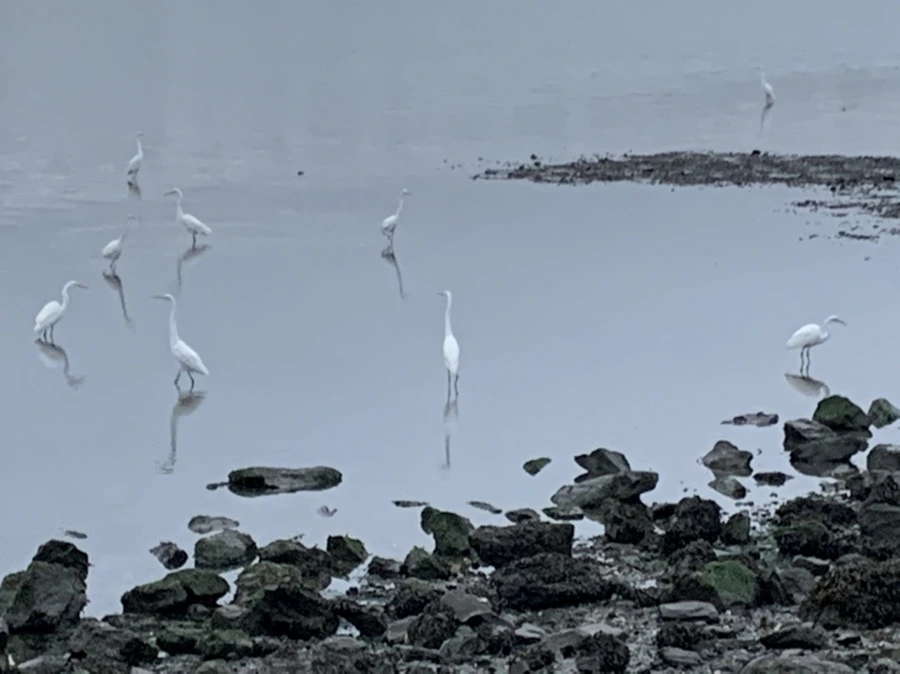 IMG_9675.jpg?type=w966