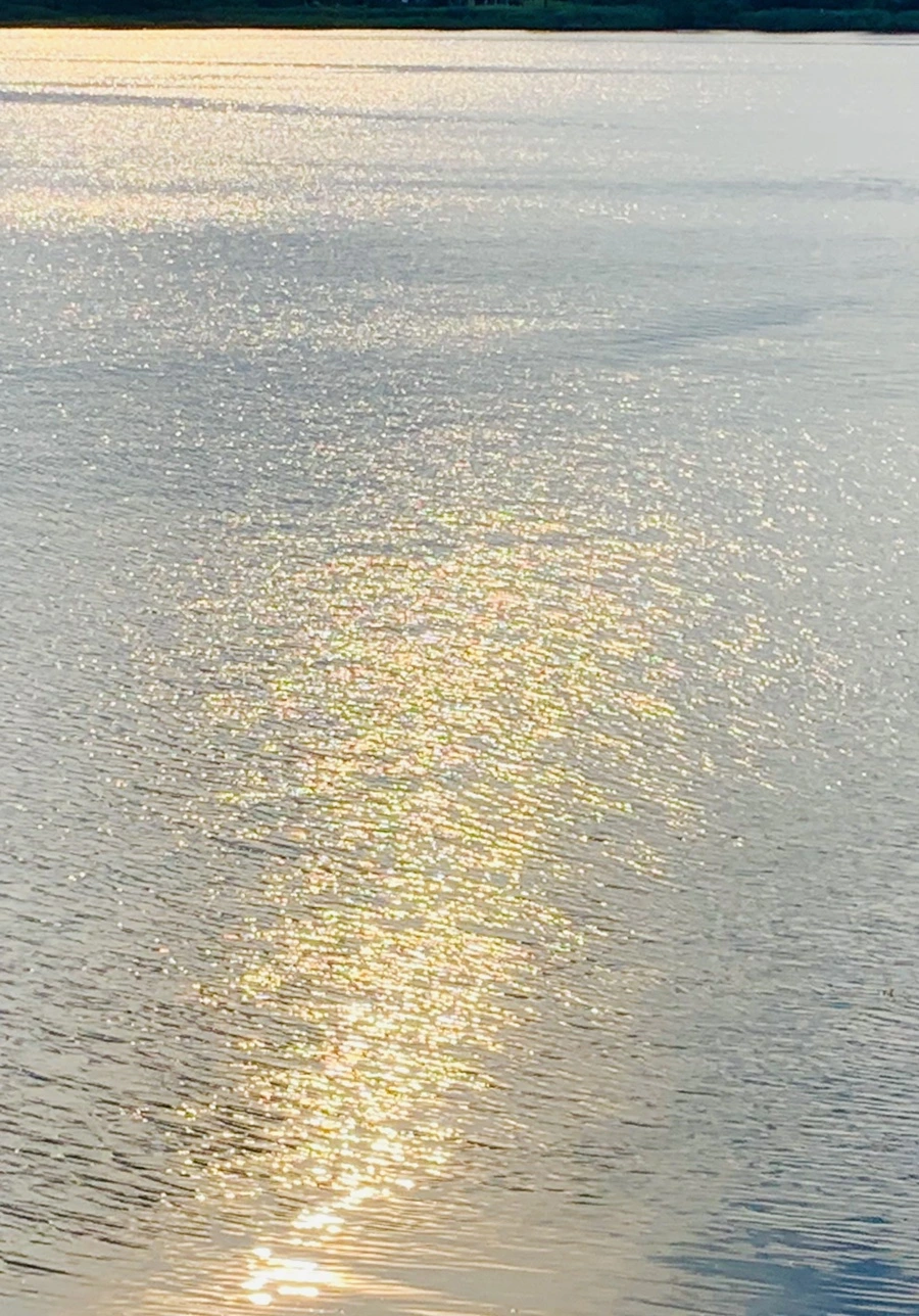 IMG_1576.jpg?type=w966