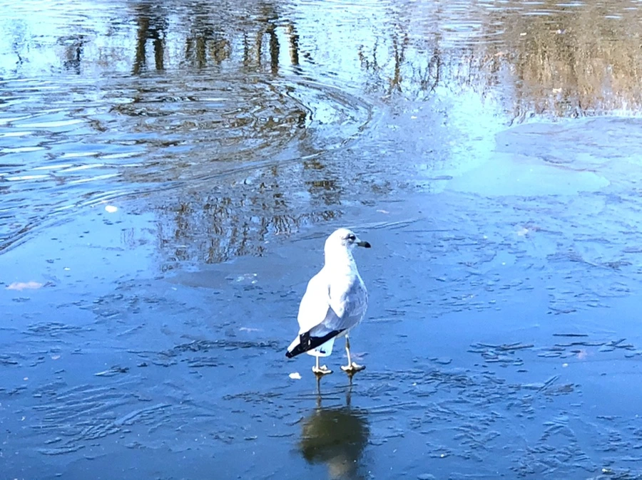 IMG_0573.jpg?type=w966