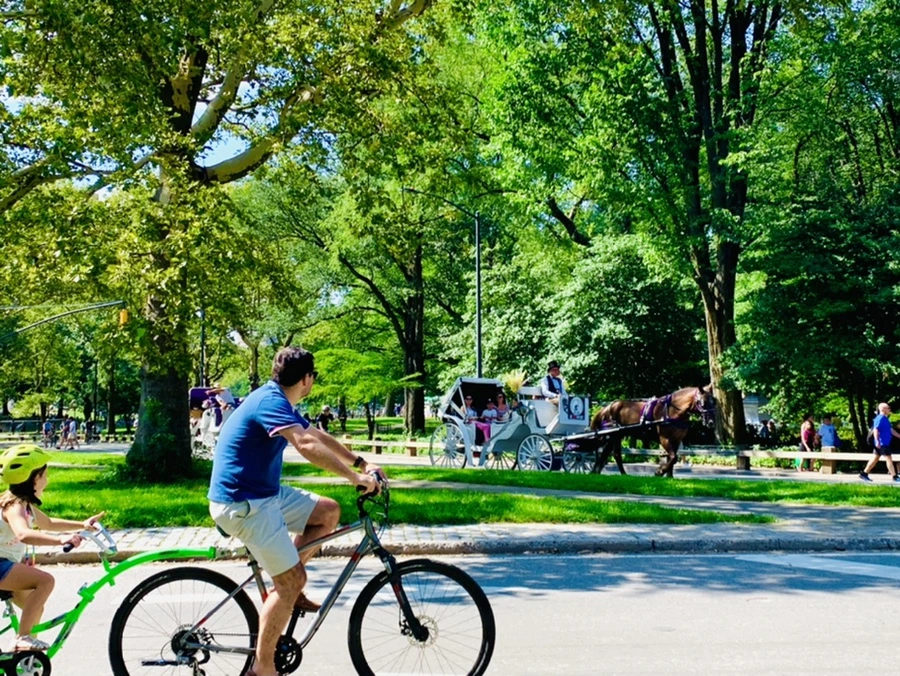 IMG_4522.jpg?type=w966