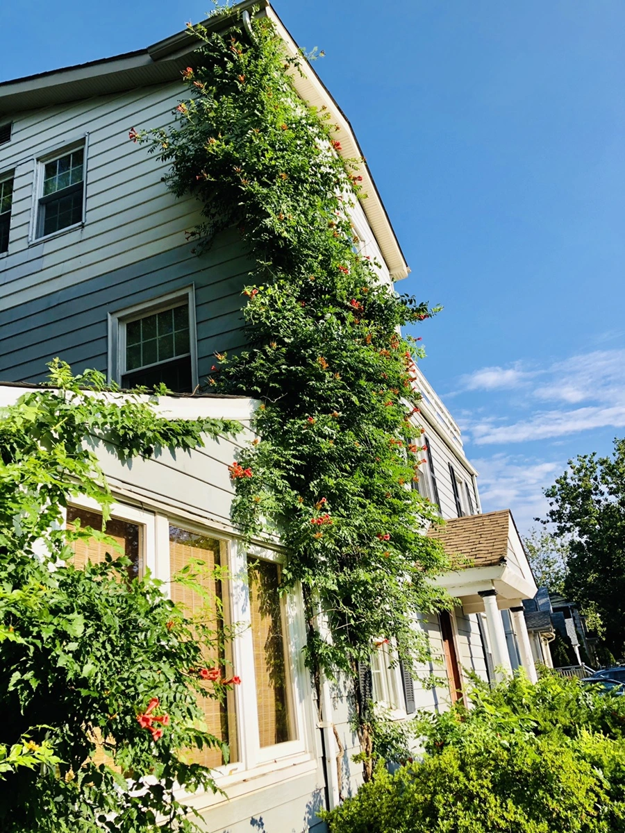 IMG_2157.jpg?type=w966