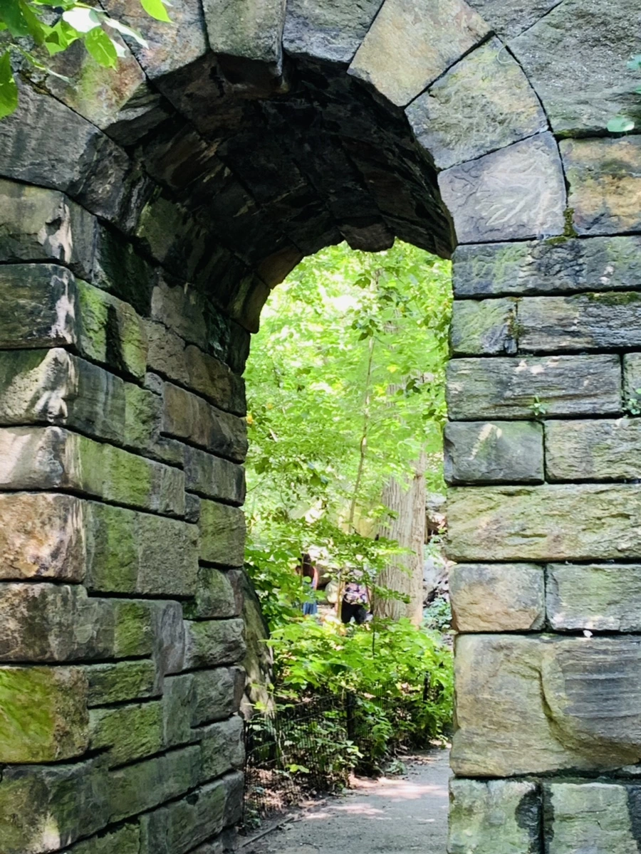 IMG_7920.jpg?type=w966