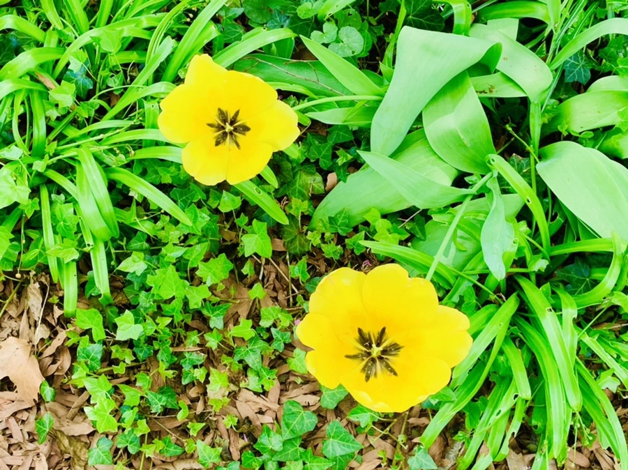 IMG_6857.jpg?type=w966