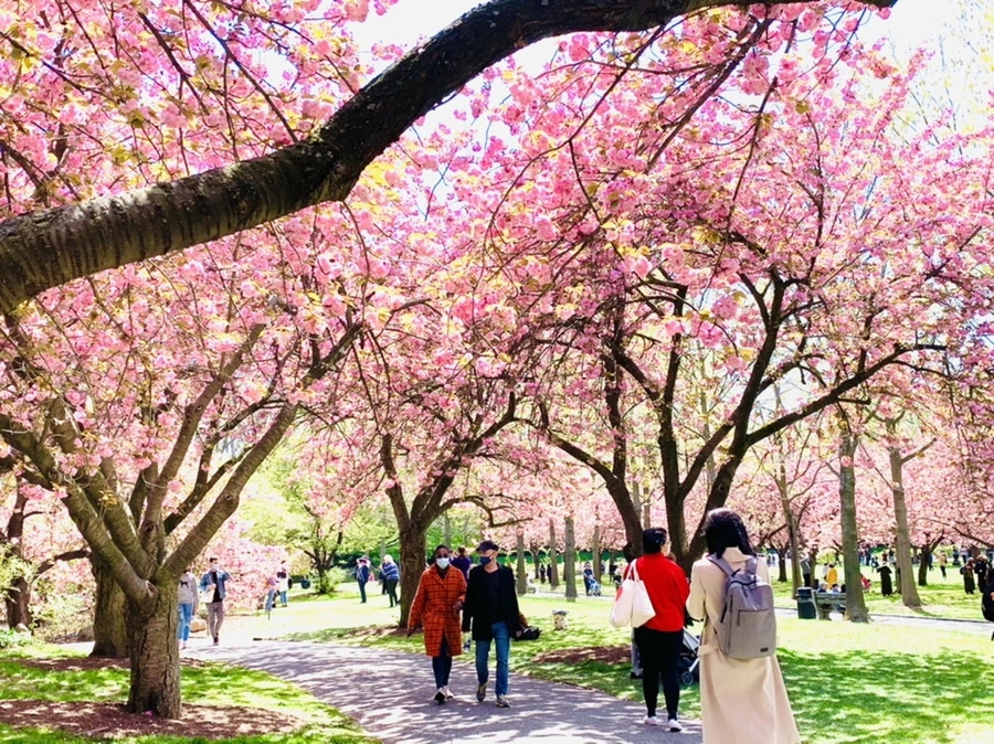 IMG_6413.jpg?type=w966