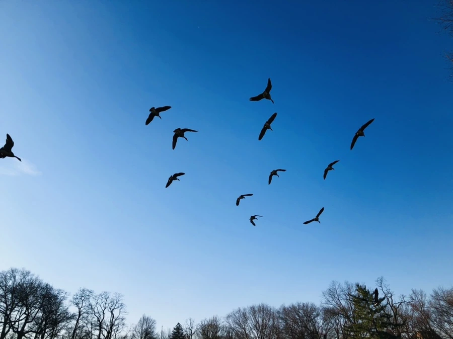 IMG_2288.jpg?type=w966