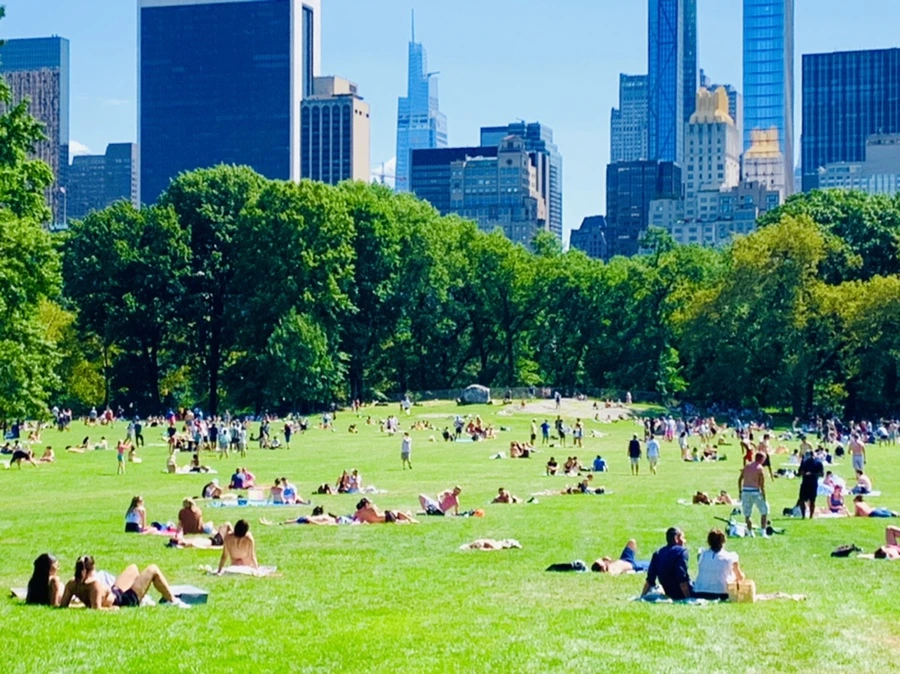 IMG_4415.jpg?type=w966