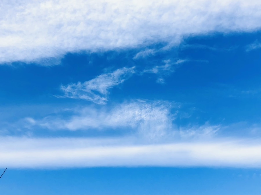 IMG_4813.jpg?type=w966