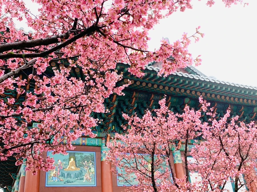 IMG_5211.jpg?type=w966