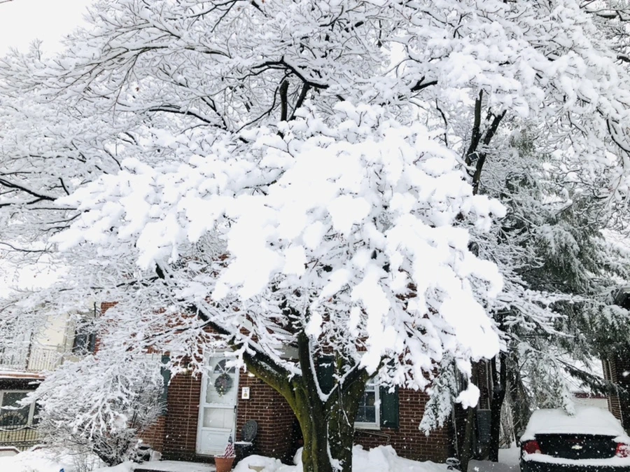 IMG_0967.jpg?type=w966