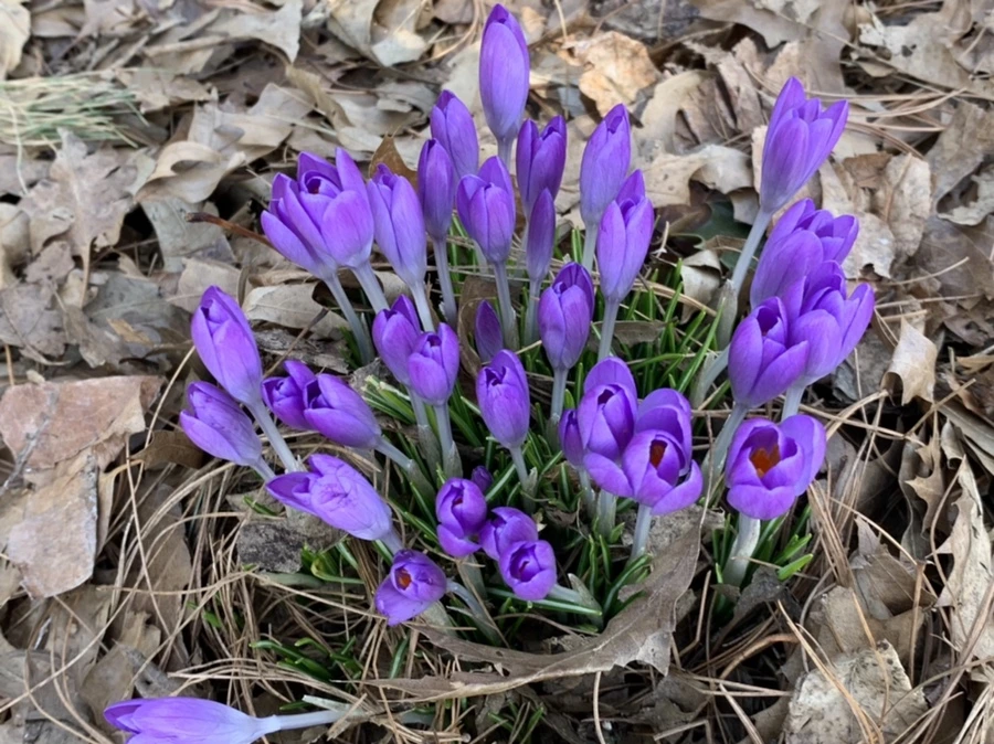 IMG_9715.jpg?type=w966