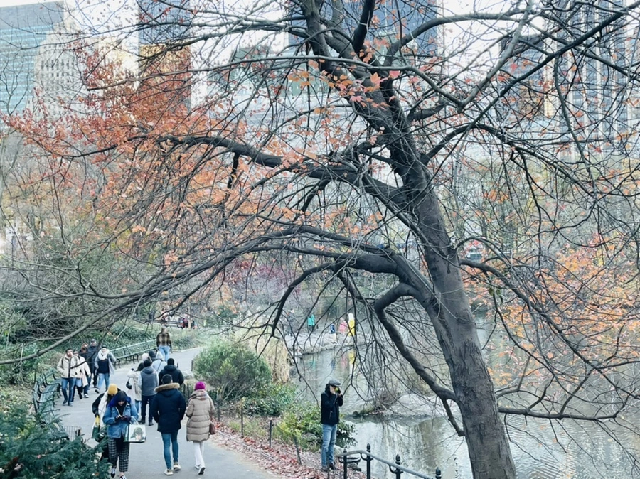 IMG_5031.jpg?type=w966