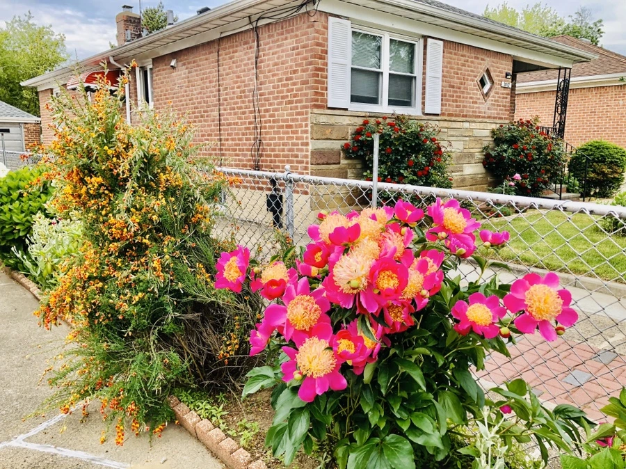 IMG_7933.jpg?type=w966