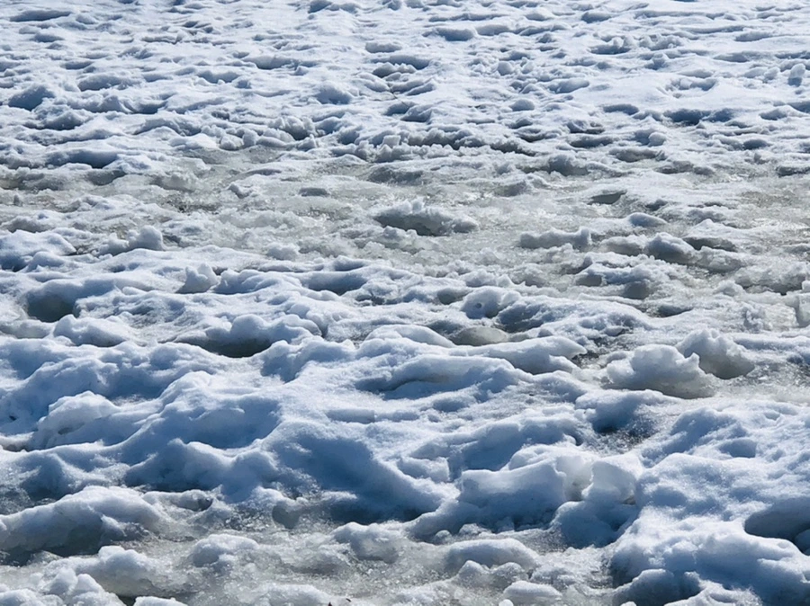 IMG_2986.jpg?type=w966