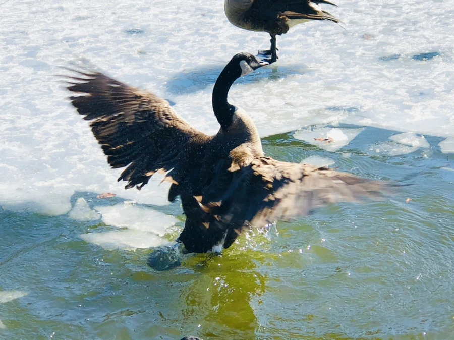 IMG_5292.jpg?type=w966