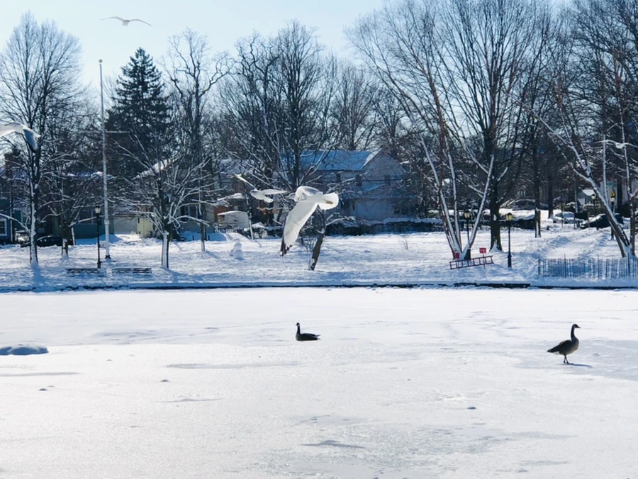 IMG_1328.jpg?type=w966