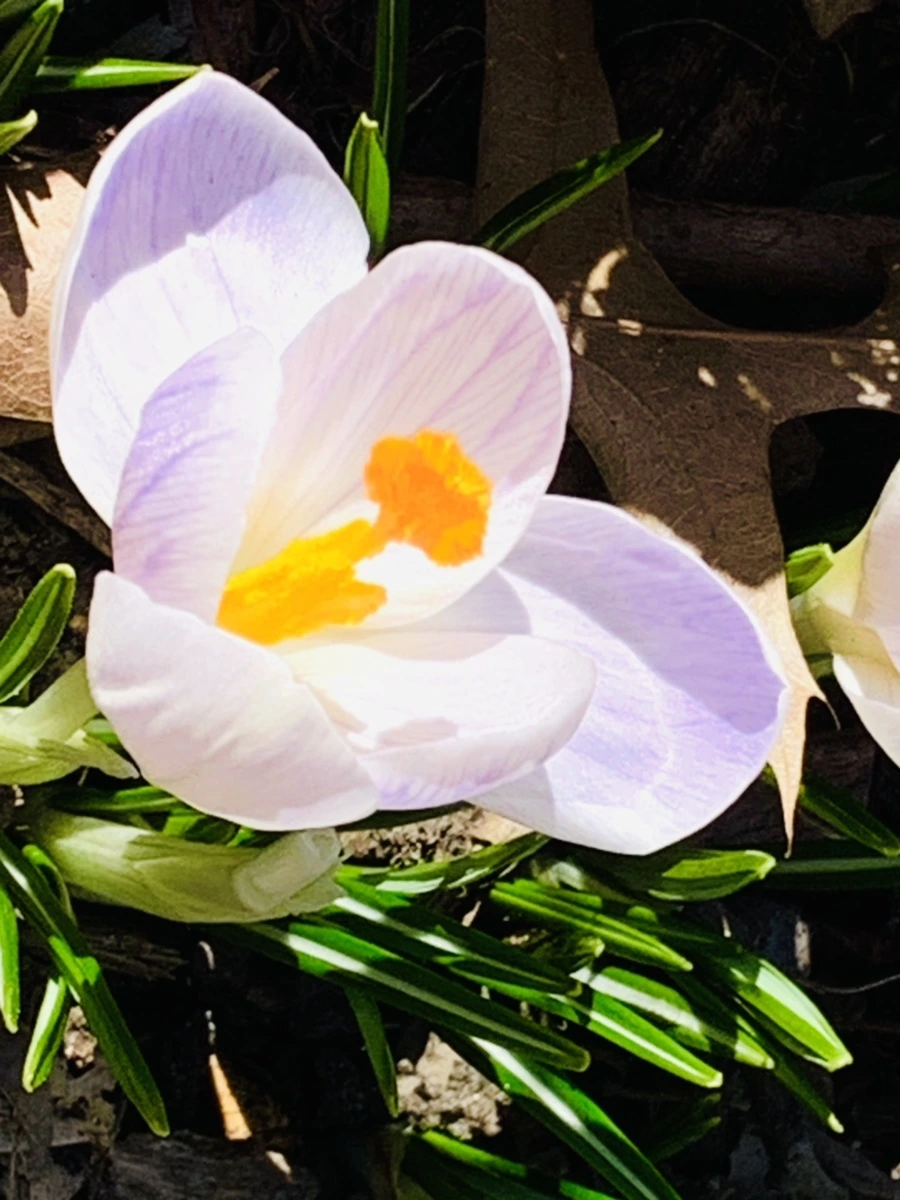 IMG_0730.jpg?type=w966