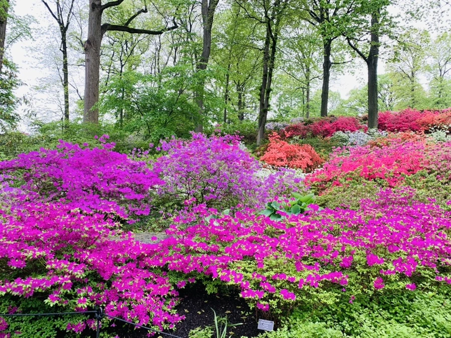 IMG_9933.jpg?type=w966