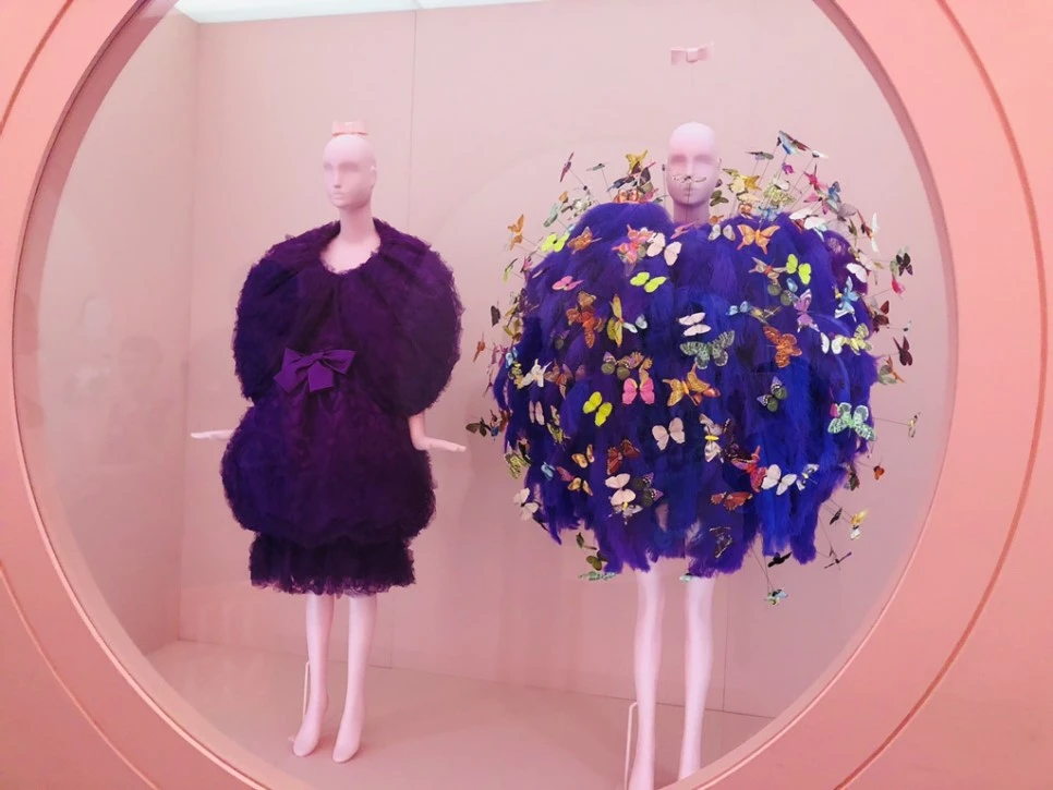 IMG_8815.jpg?type=w966